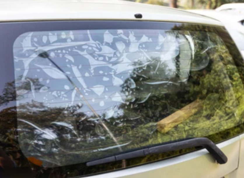 Close-up of tint with smooth, bubble-free finish