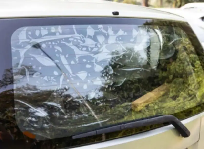 Close-up of tint with smooth, bubble-free finish